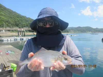 由良海つり公園&釣堀ランドの2021年7月21日(水)1枚目の写真