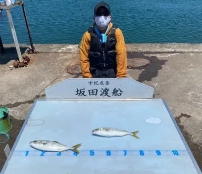 坂田渡船の2021年7月21日(水)2枚目の写真