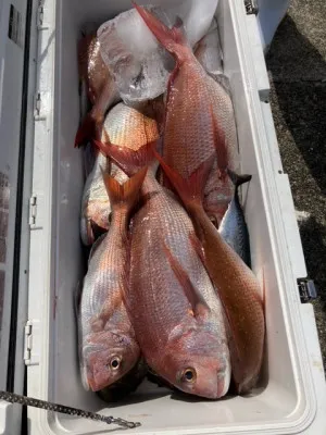 釣り船 黒潮丸の2021年7月28日(水)2枚目の写真