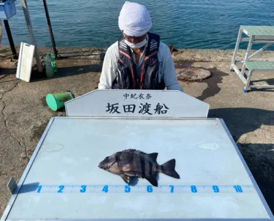 坂田渡船の2021年9月10日(金)2枚目の写真