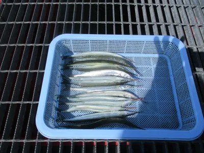 尼崎市立魚つり公園の2021年10月13日(水)1枚目の写真