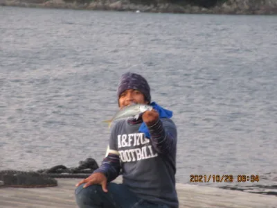 由良海つり公園&釣堀ランドの2021年10月26日(火)3枚目の写真