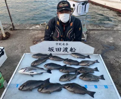 坂田渡船の2021年10月23日(土)2枚目の写真