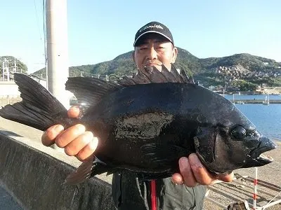 上野渡船の2021年11月3日(水)1枚目の写真