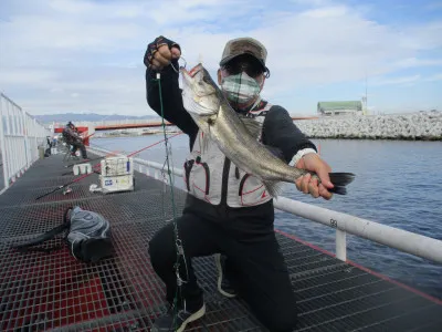 尼崎市立魚つり公園の2021年11月3日(水)1枚目の写真