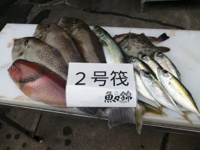 三重外湾漁協 錦事業所直営 釣り筏の2021年11月7日(日)1枚目の写真