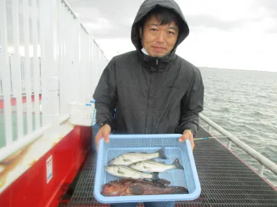 尼崎市立魚つり公園の2021年11月11日(木)3枚目の写真