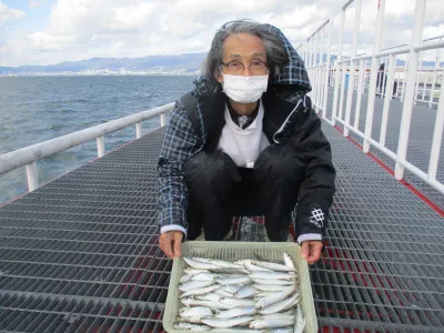 尼崎市立魚つり公園の2021年11月12日(金)2枚目の写真