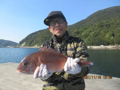 由良海つり公園&釣堀ランドの2021年11月15日(月)1枚目の写真
