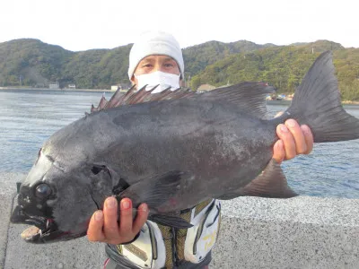 海斗の2021年11月14日(日)3枚目の写真