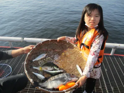 尼崎市立魚つり公園の2021年11月20日(土)2枚目の写真