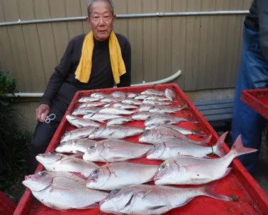 奥村釣船の2021年11月25日(木)4枚目の写真