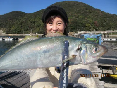 由良海つり公園&釣堀ランドの2021年11月29日(月)1枚目の写真