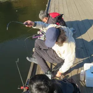 長谷大池釣り池センターの2021年11月29日(月)5枚目の写真