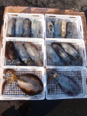釣り船 久勝丸の2021年11月17日(水)3枚目の写真