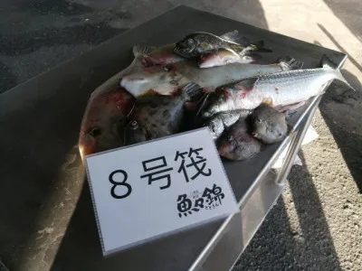 三重外湾漁協 錦事業所直営 釣り筏の2021年11月12日(金)2枚目の写真