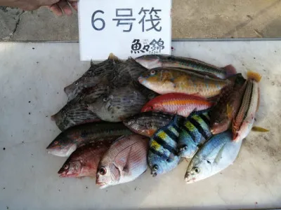 三重外湾漁協 錦事業所直営 釣り筏の2021年11月13日(土)3枚目の写真