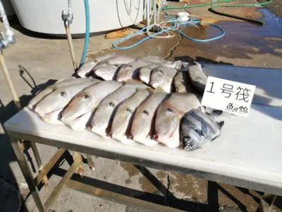 三重外湾漁協 錦事業所直営 釣り筏の2021年11月23日(火)1枚目の写真