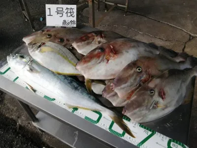 三重外湾漁協 錦事業所直営 釣り筏の2021年11月25日(木)1枚目の写真