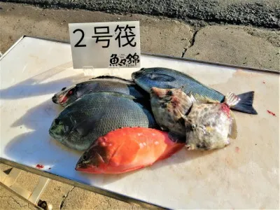 三重外湾漁協 錦事業所直営 釣り筏の2021年12月5日(日)2枚目の写真