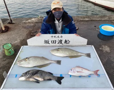 坂田渡船の2021年11月28日(日)2枚目の写真