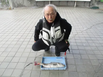 尼崎市立魚つり公園の2021年12月10日(金)4枚目の写真