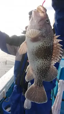 釣りキチ丸の2021年12月11日(土)3枚目の写真