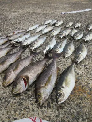 中山総合釣センター・海遊の2021年12月12日(日)2枚目の写真