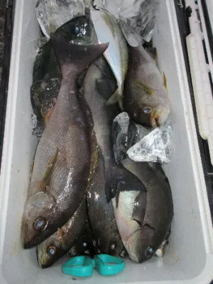 中山総合釣センター・海遊の2021年12月15日(水)3枚目の写真