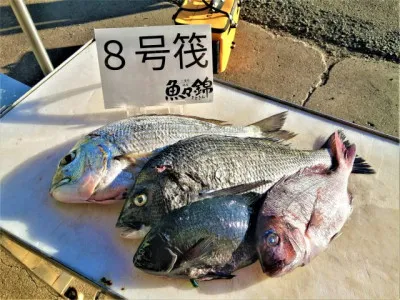 三重外湾漁協 錦事業所直営 釣り筏の2021年12月9日(木)1枚目の写真