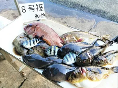 三重外湾漁協 錦事業所直営 釣り筏の2021年12月10日(金)3枚目の写真