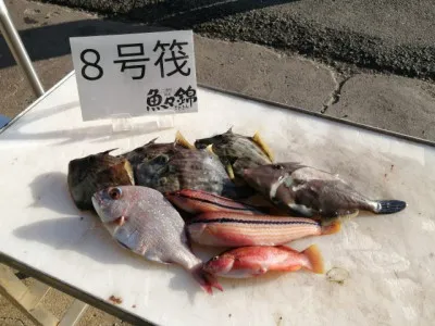 三重外湾漁協 錦事業所直営 釣り筏の2021年12月11日(土)5枚目の写真
