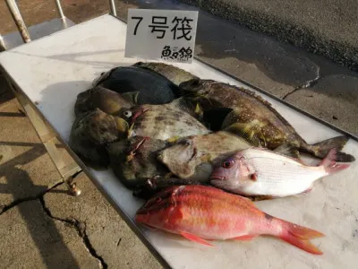 三重外湾漁協 錦事業所直営 釣り筏の2021年12月22日(水)2枚目の写真