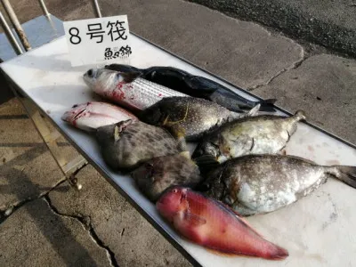 三重外湾漁協 錦事業所直営 釣り筏の2021年12月25日(土)4枚目の写真