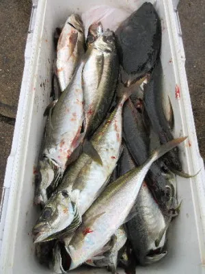 中山総合釣センター・海遊の2021年12月29日(水)5枚目の写真