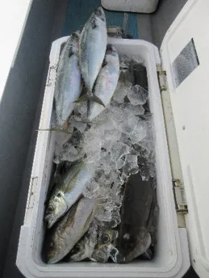 中山総合釣センター・海遊の2022年1月3日(月)1枚目の写真