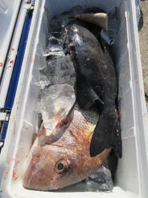 中山総合釣センター・海遊の2022年1月3日(月)4枚目の写真