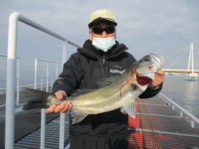 尼崎市立魚つり公園の2022年1月26日(水)2枚目の写真