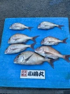 小嶋丸の2022年1月27日(木)1枚目の写真