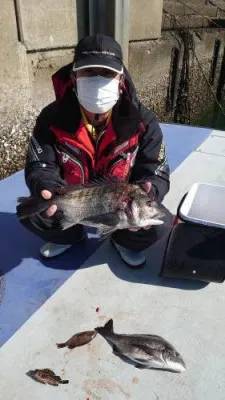 瀬渡し 浜栄丸の2022年1月31日(月)1枚目の写真