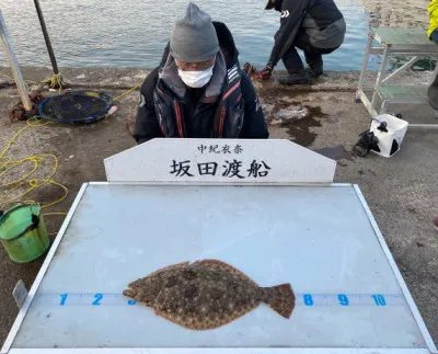 坂田渡船の2022年1月29日(土)1枚目の写真