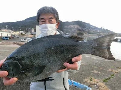 上野渡船の2022年2月1日(火)1枚目の写真