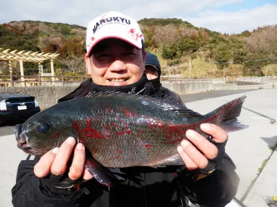 瀬渡し 磯の2022年2月10日(木)2枚目の写真