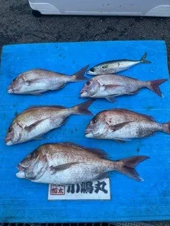 小嶋丸の2022年2月12日(土)1枚目の写真