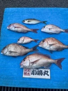 小嶋丸の2022年2月15日(火)1枚目の写真