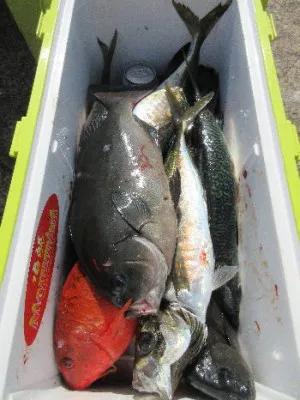中山総合釣センター・海遊の2022年2月12日(土)4枚目の写真