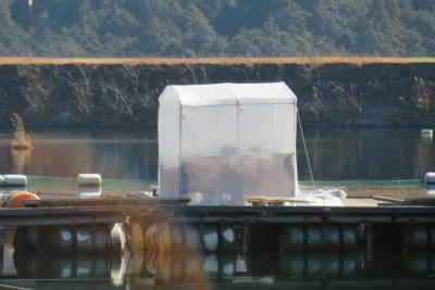 長谷大池釣り池センターの2022年2月28日(月)3枚目の写真