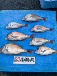 小嶋丸の2022年3月2日(水)2枚目の写真