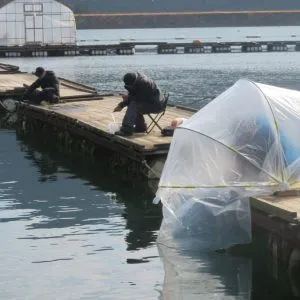 長谷大池釣り池センターの2022年3月3日(木)5枚目の写真