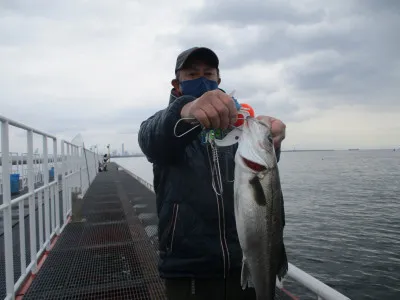 尼崎市立魚つり公園の2022年3月7日(月)1枚目の写真